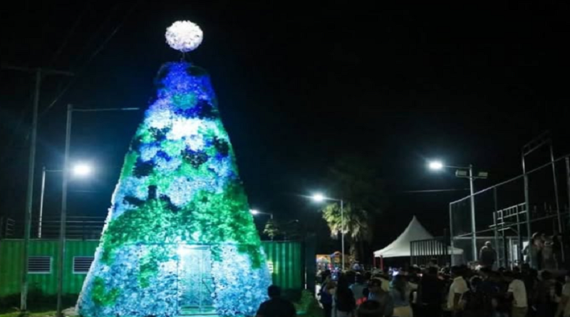 Encienden árbol de los deseos en Caricuao