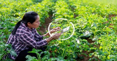 Colombia busca optimizar agricultura con Inteligencia Artificial