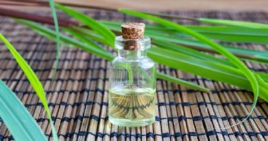 conoce-beneficios-ingerir-te-malojillo