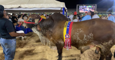 Expo feria Falcón 2024 destaca potencialidades de la región occidental