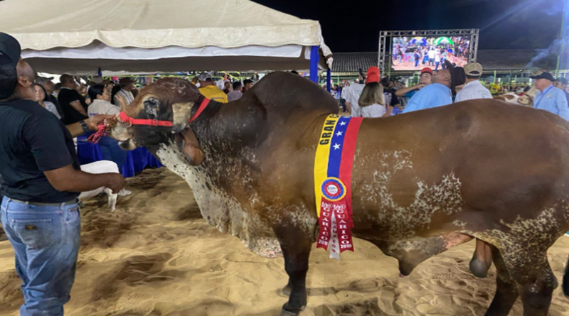 Expo feria Falcón 2024 destaca potencialidades de la región occidental