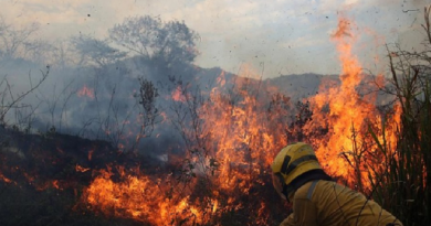 Bomberos de Cojedes atienden emergencia por incendios forestales