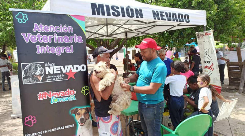 Misión Nevado supera 40 mil esterilizaciones de gatos y perros en 2024