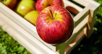 ¿Qué beneficios tiene comer una manzana al día?