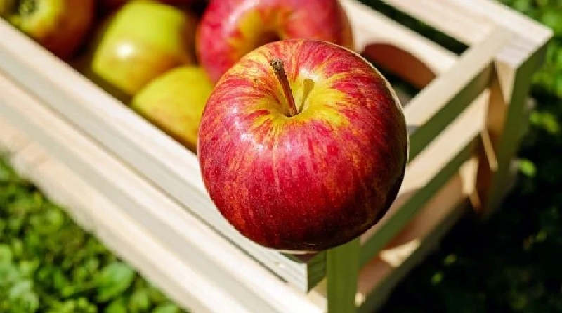 ¿Qué beneficios tiene comer una manzana al día?