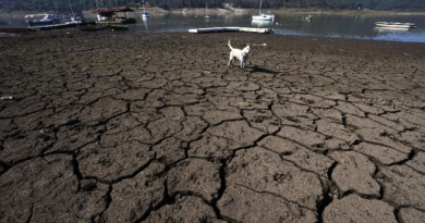 Advierten que la superficie de la Tierra se ha vuelto más seca