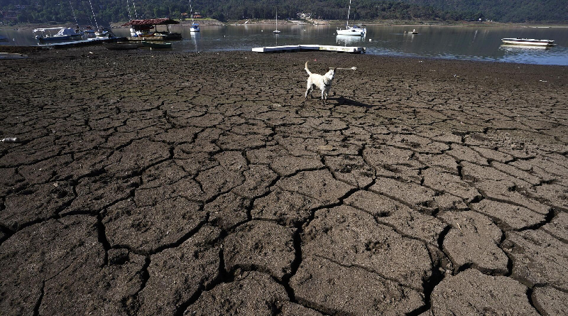 Advierten que la superficie de la Tierra se ha vuelto más seca