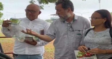 Entregan insumos agrícolas para impulsar la siembra en San Francisco de Yare