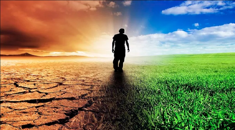 OMS alerta que emergencia climática es "fundamentalmente una crisis de salud"