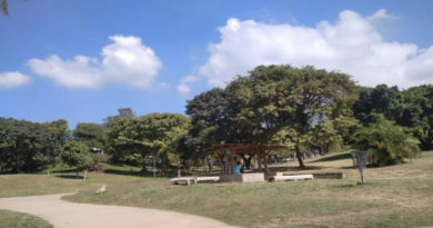 Caraqueños disfrutan del Parque Alí Primera en las fechas navideñas