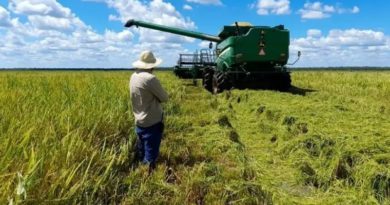 Desarrollo agrícola y pecuario se consolida en el estado Guárico