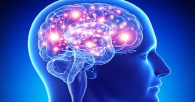 Descubren prometedor avance en la lucha contra el deterioro cognitivo