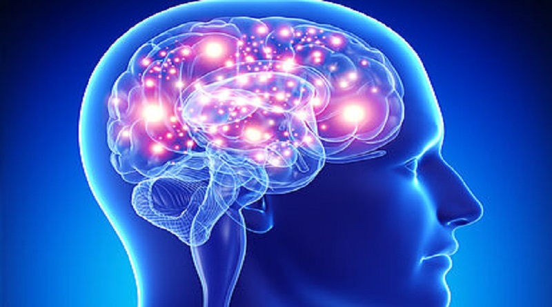 Descubren prometedor avance en la lucha contra el deterioro cognitivo