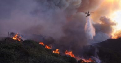 Declaran estado de emergencia en Los Ángeles tras devastadores incendios