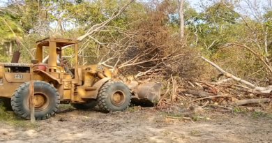 Municipio Arismendi Avanza en la Recuperación de Vialidad Agrícola
