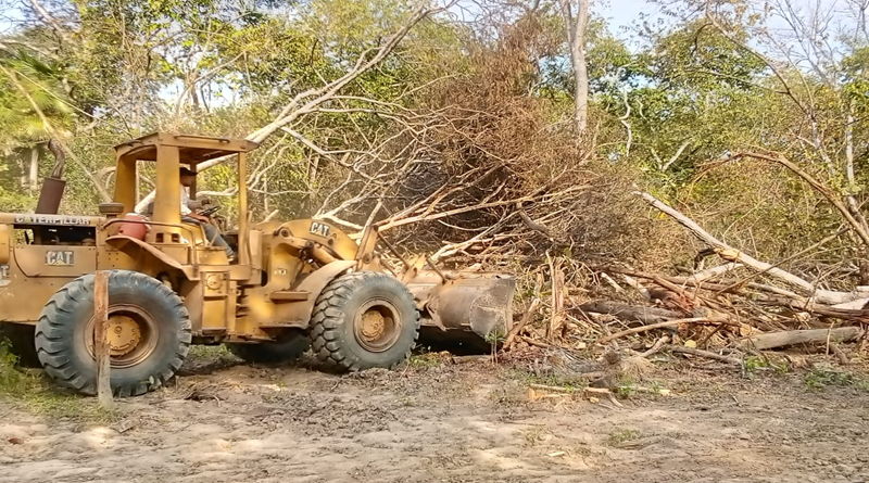 Municipio Arismendi Avanza en la Recuperación de Vialidad Agrícola