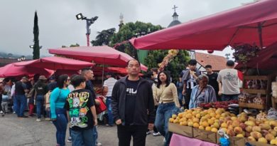 Al 100 % de ocupación hotelera durante la noche del 31 y 1° de enero, se registró en la Colonia Tovar, en el estado Aragua,
