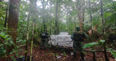 Sistema Defensivo Territorial incauta más de cinco mil kilos de droga en Amazonas
