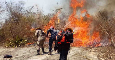 Activado comando unificado para combatir incendios forestales en Yaracuy