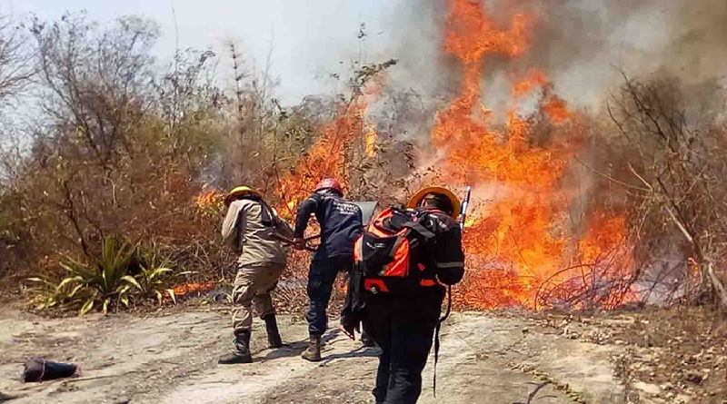 Activado comando unificado para combatir incendios forestales en Yaracuy