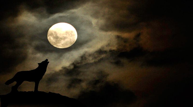 Luna del Lobo será el espectáculo celestial del 13 de enero