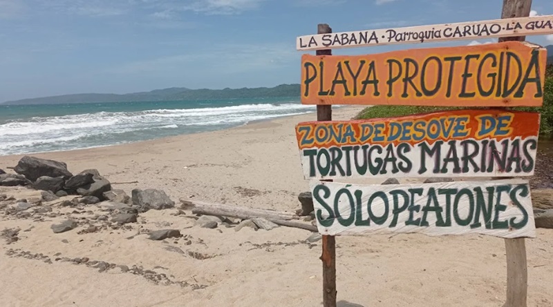 Playas de La Sabana en Caruao preservan desove de tortugas marinas