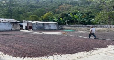 verifican-unidades-produccion-eje-cafetalero-colonia-tovar