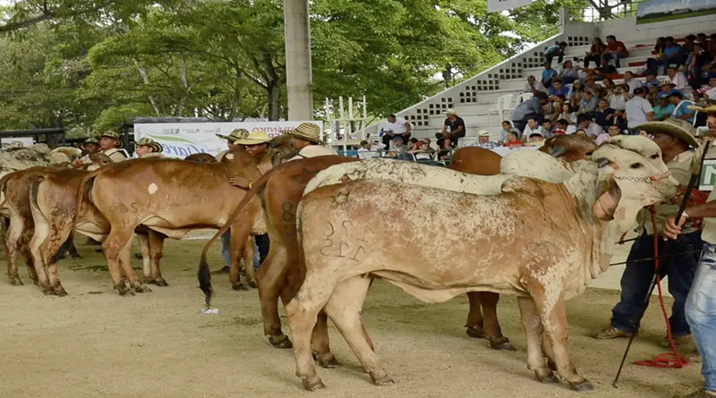 la Feria Agropecuaria 2025
