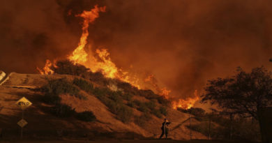 Asciende a 16 el número de fallecidos por los incendios forestales en California