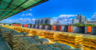 Dinamizan comercio exterior con exportación de café en Lara