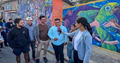 comunidad-chapellin-llena-color-la-parada-cultural