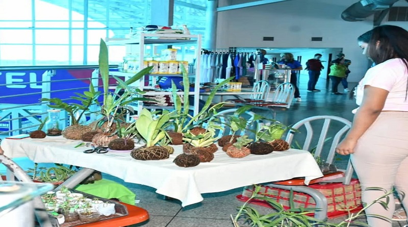 Falcón celebra primera Feria de Emprendedores