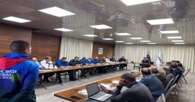 Comité Técnico del SEN afina estrategias para la estabilidad eléctrica del país