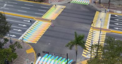 Restauran rayado peatonal frente al Museo de la Estampa y del diseño Carlos Cruz
