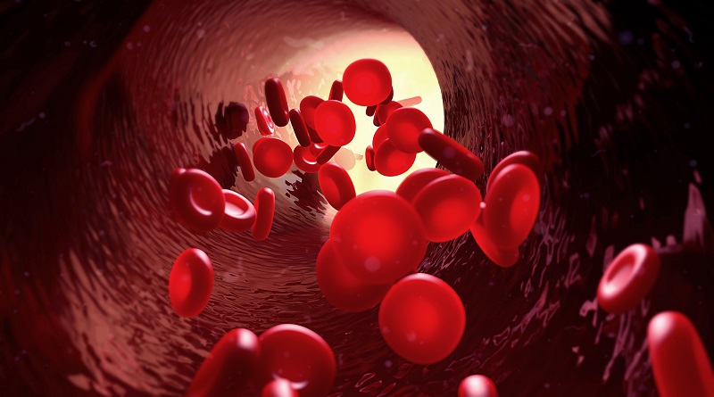 Alimentos para subir la hemoglobina y prevenir la anemia