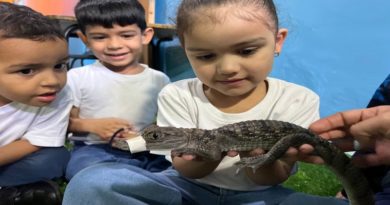 El Zoo Aquarium de Valencia invita a escuelas, colegios y grupos a participar en este programa educativo y a unirse a la misión de proteger la vida silvestre y los ecosistemas.