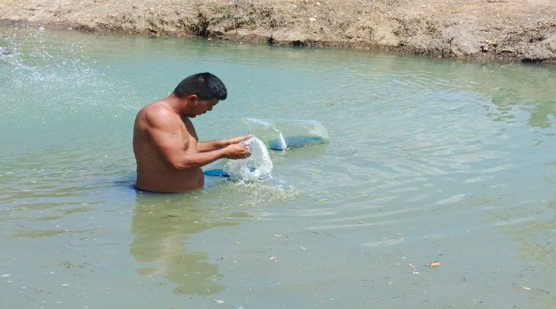 Jóvenes Productores de Barinas fortalecen acuicultura rural
