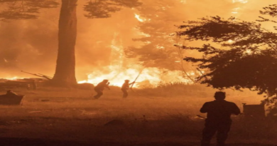 Incendios Forestales en Corrientes Arrasan con Más de 20.000 Hectáreas