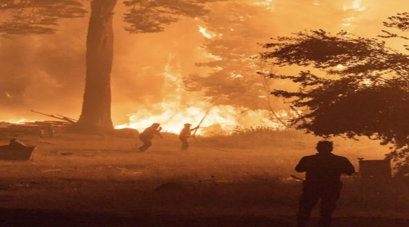 Incendios Forestales en Corrientes Arrasan con Más de 20.000 Hectáreas
