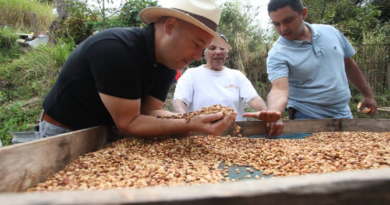 Miranda impulsa producción de café de alta calidad y sostenible de la región