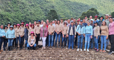 Impulsan plan de producción de semillas de caraota en el estado Mérida