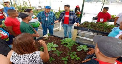 fundacion-ciara-impulsara-produccion-agricola-comunal-territorio-