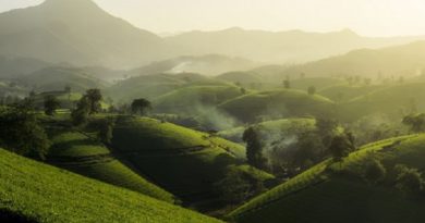 Vietnam avanza en la gestión de Reservas de la Biosfera con enfoques innovadores