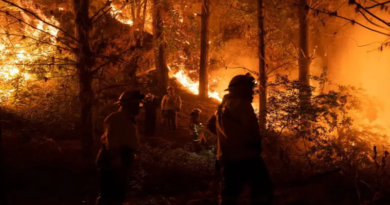 Incendios en Chile