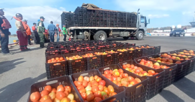 Falcón registra incremento de exportaciones hacia Aruba en más del 270%
