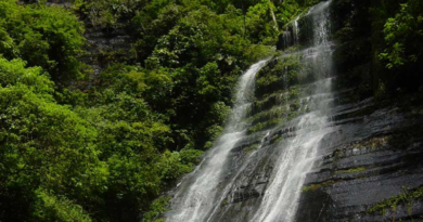 Jornada de sensibilización turística impulsa sector en Monagas