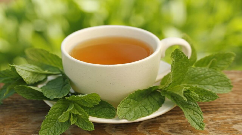 Infusión de menta ayuda a eliminar el mal aliento