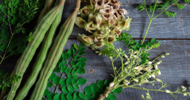 ¿Qué es la moringa y cuáles son los beneficios para la salud?