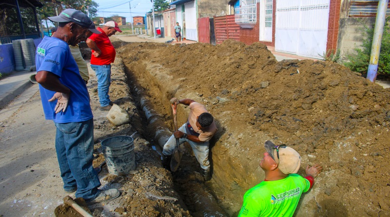 sistema-buen-gobierno-consolida-sustitucion-colectores-marino