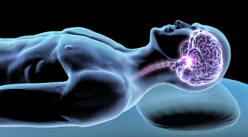 Investigadores descubren que el cerebro se devora a sí mismo por la falta de sueño